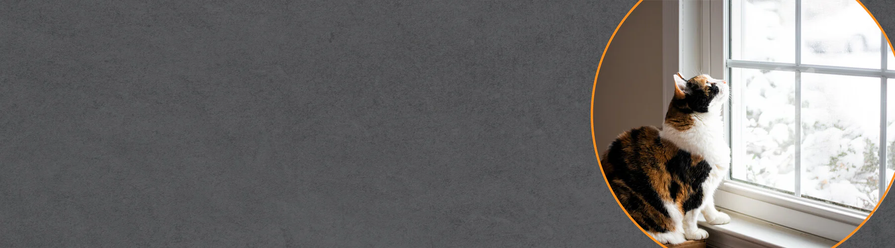 Ultimate Comfort for Every Season