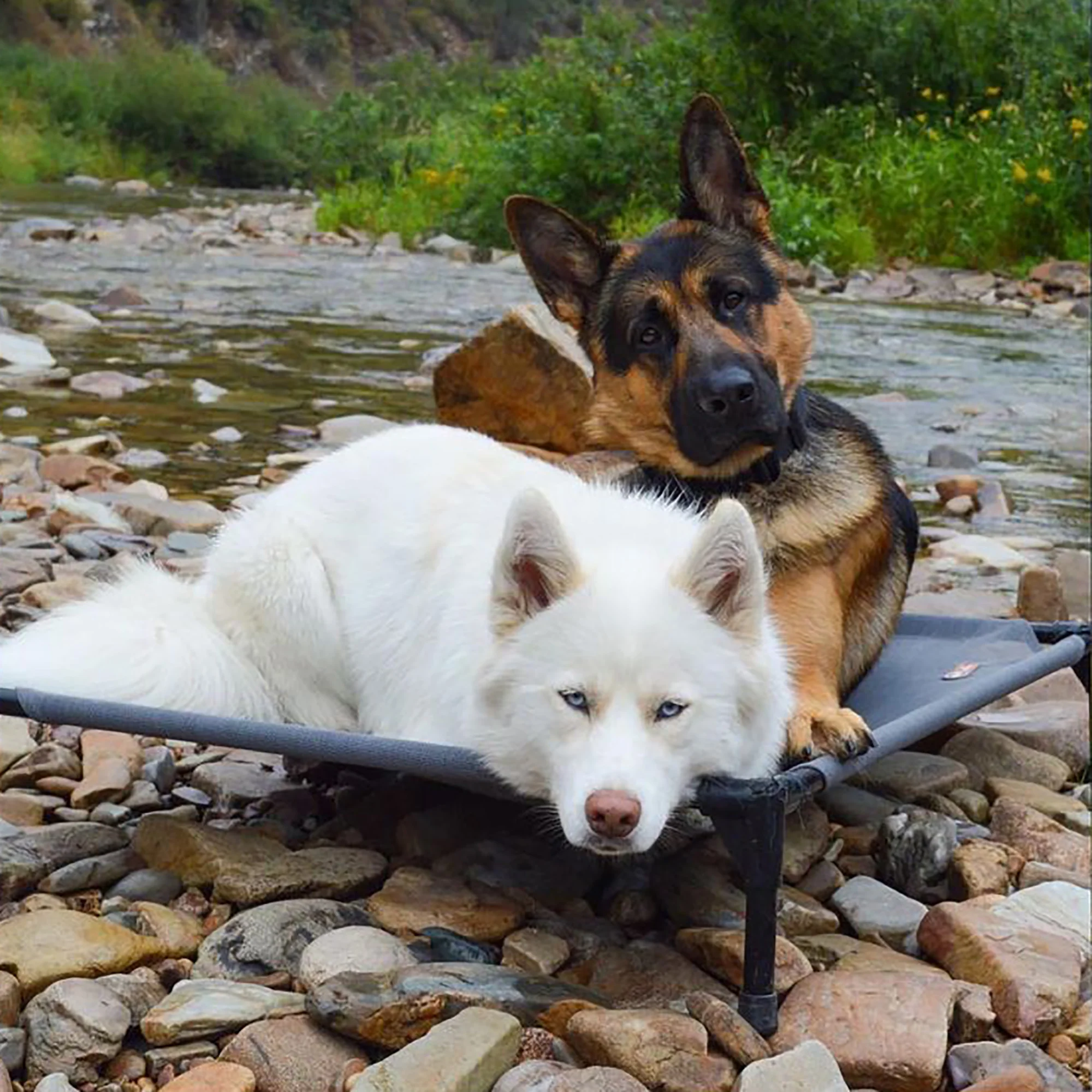 K&H All Season All Weather Dog Cot - Image 10