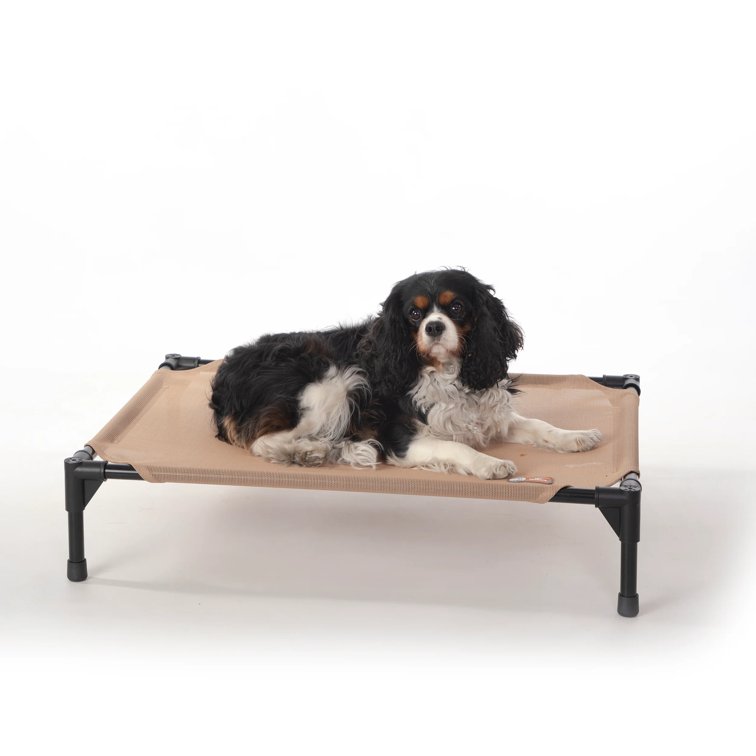 K&H All Season All Weather Dog Cot - Image 19