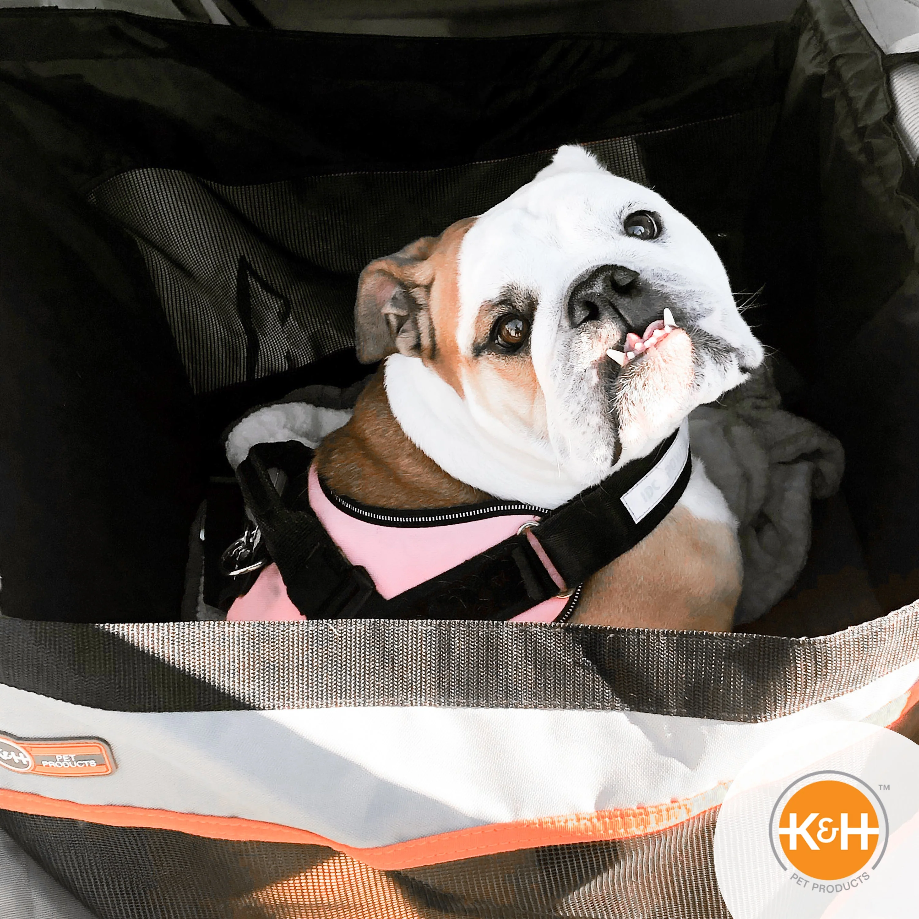 K&H Buckle n' Go Pet Seat - Image 11