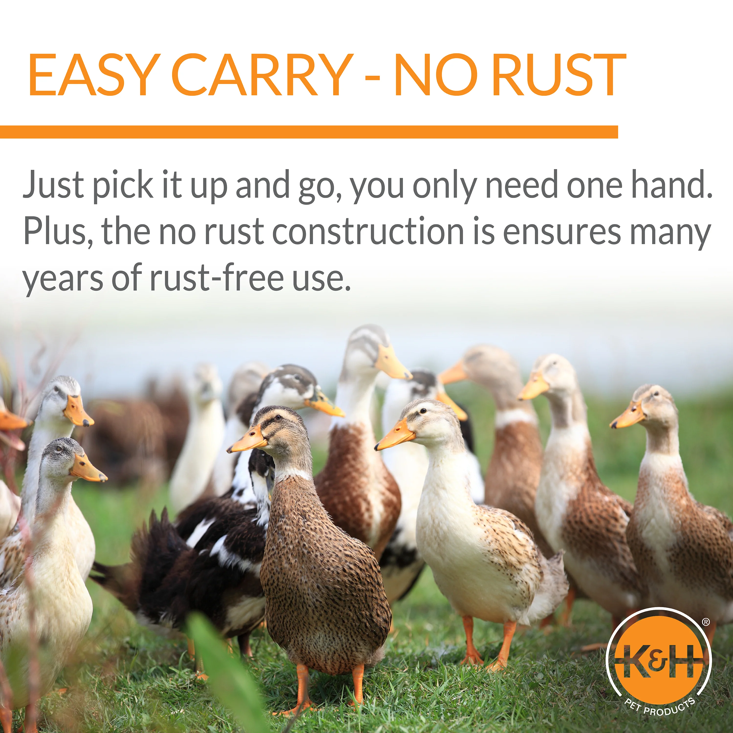 K&H Duck Waterer - Image 4