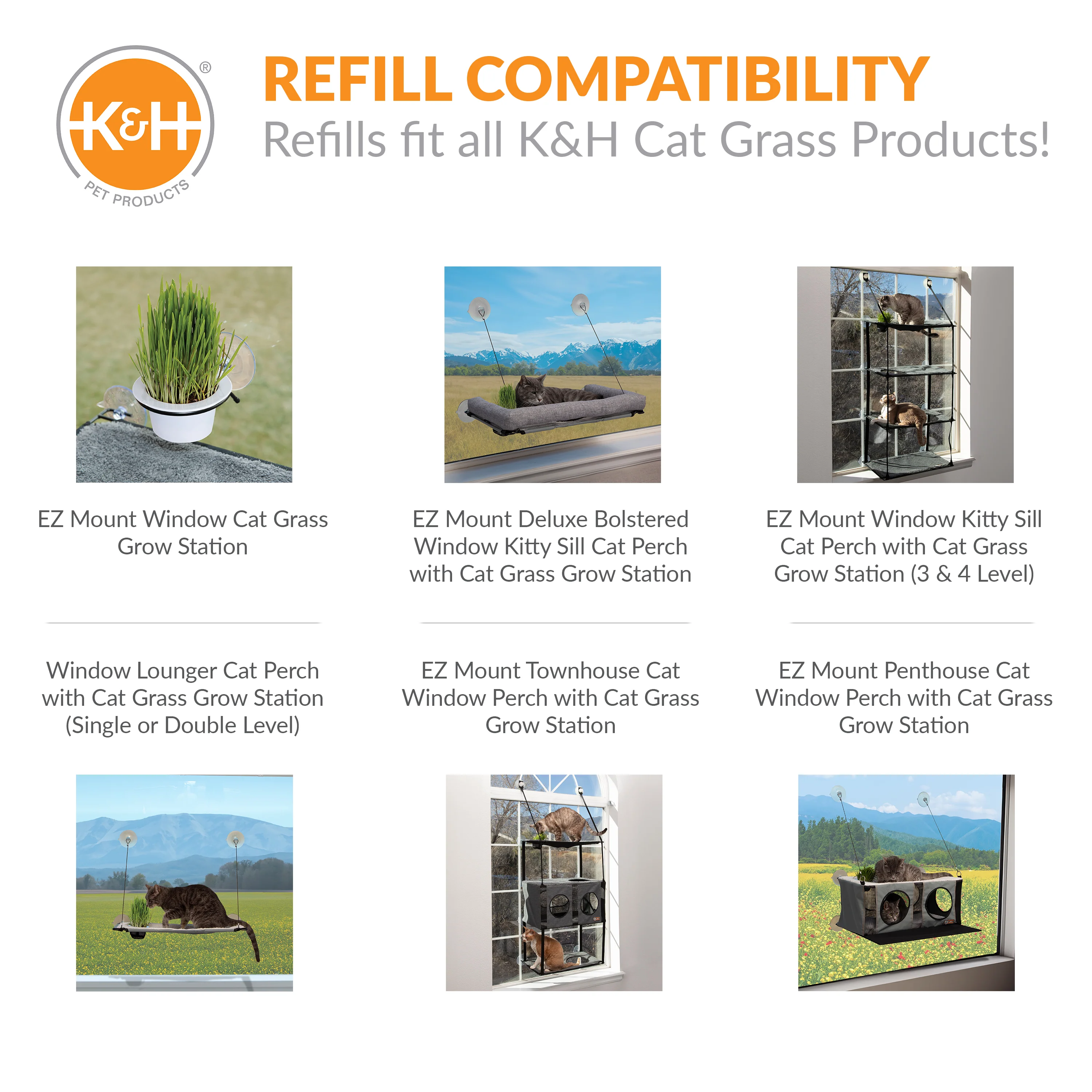 K&H Cat Grass Grow Station Growing Cup Refills - Image 5