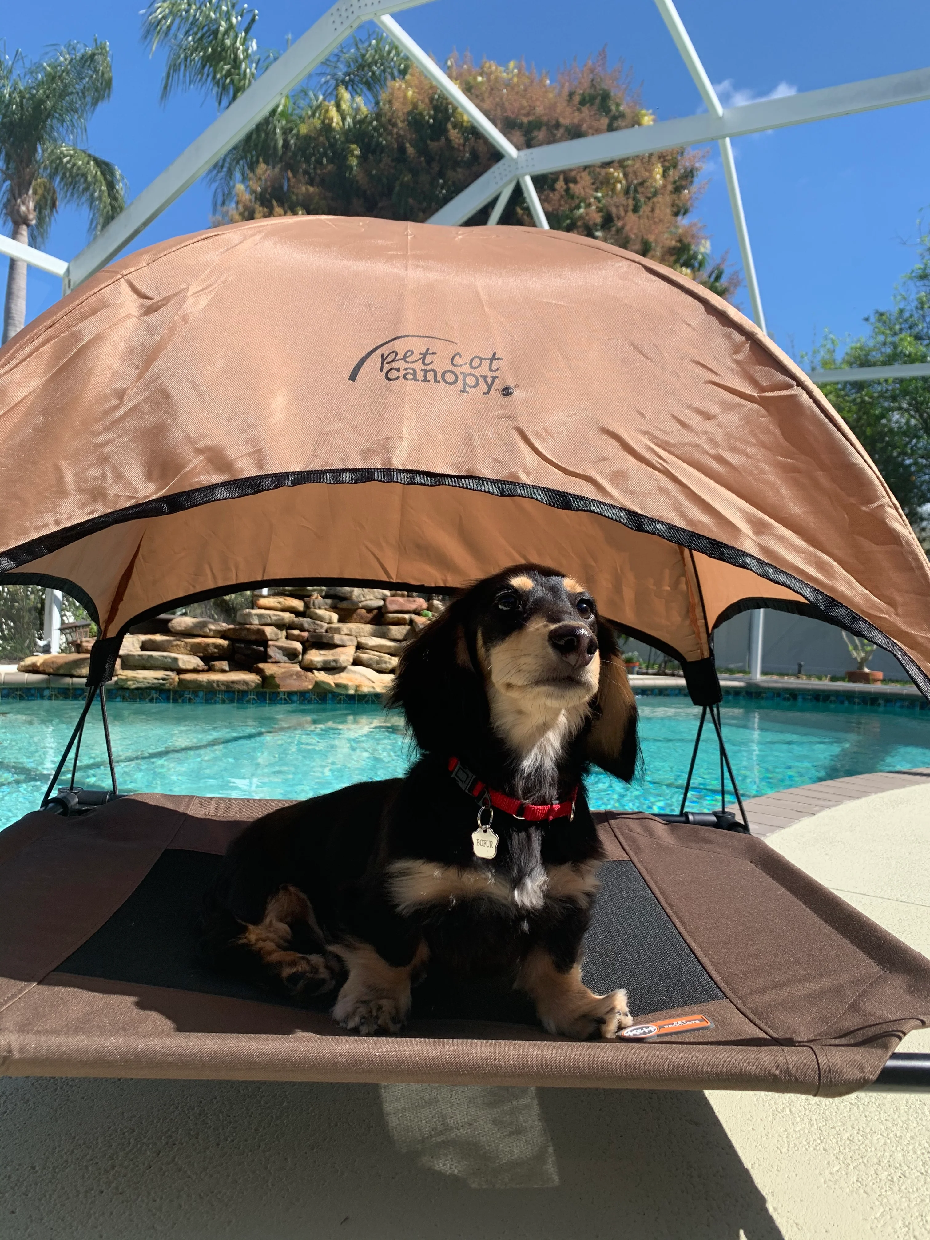 K&H Original Pet Cot - Image 11