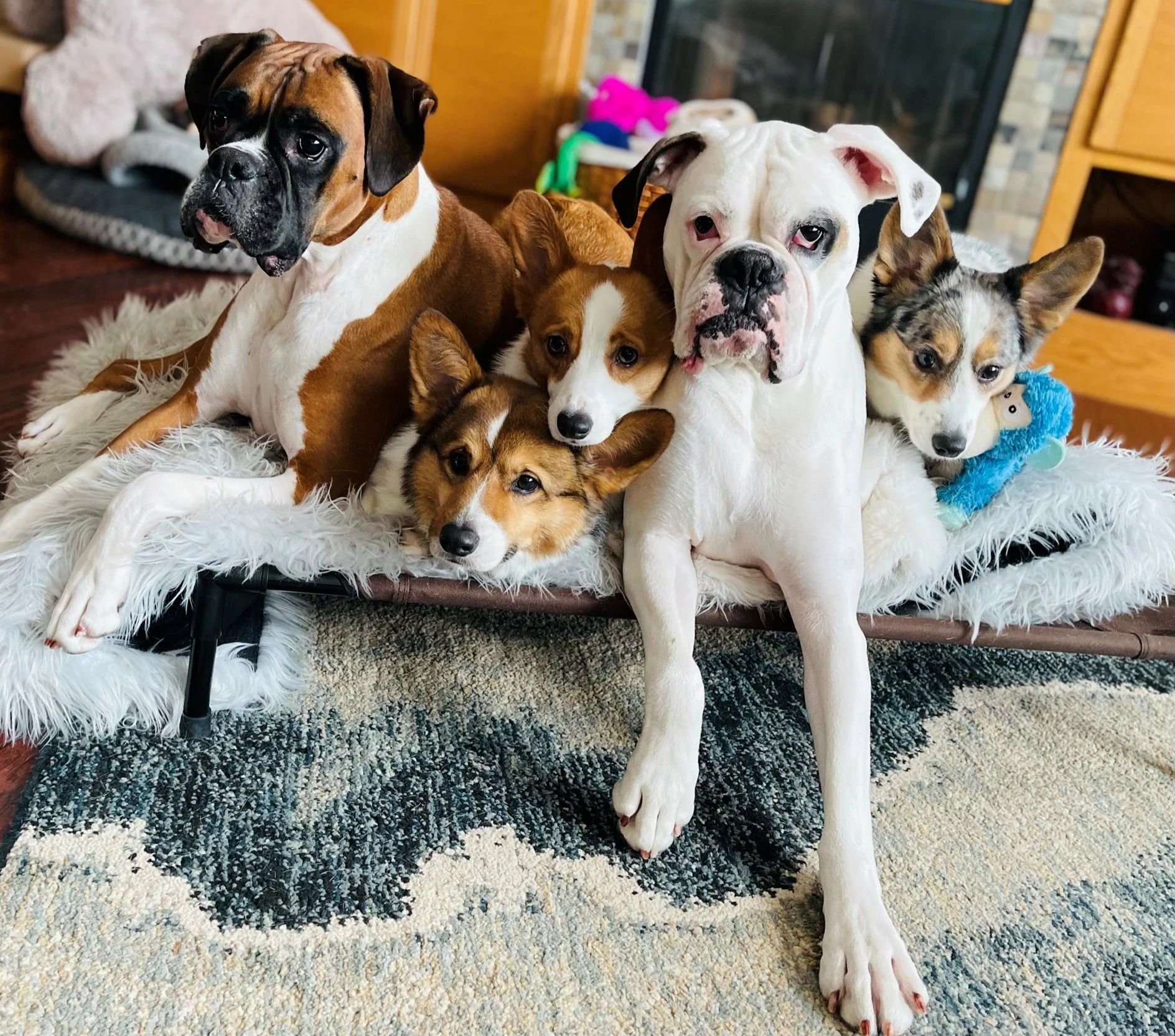 K&H Original Pet Cot - Image 9