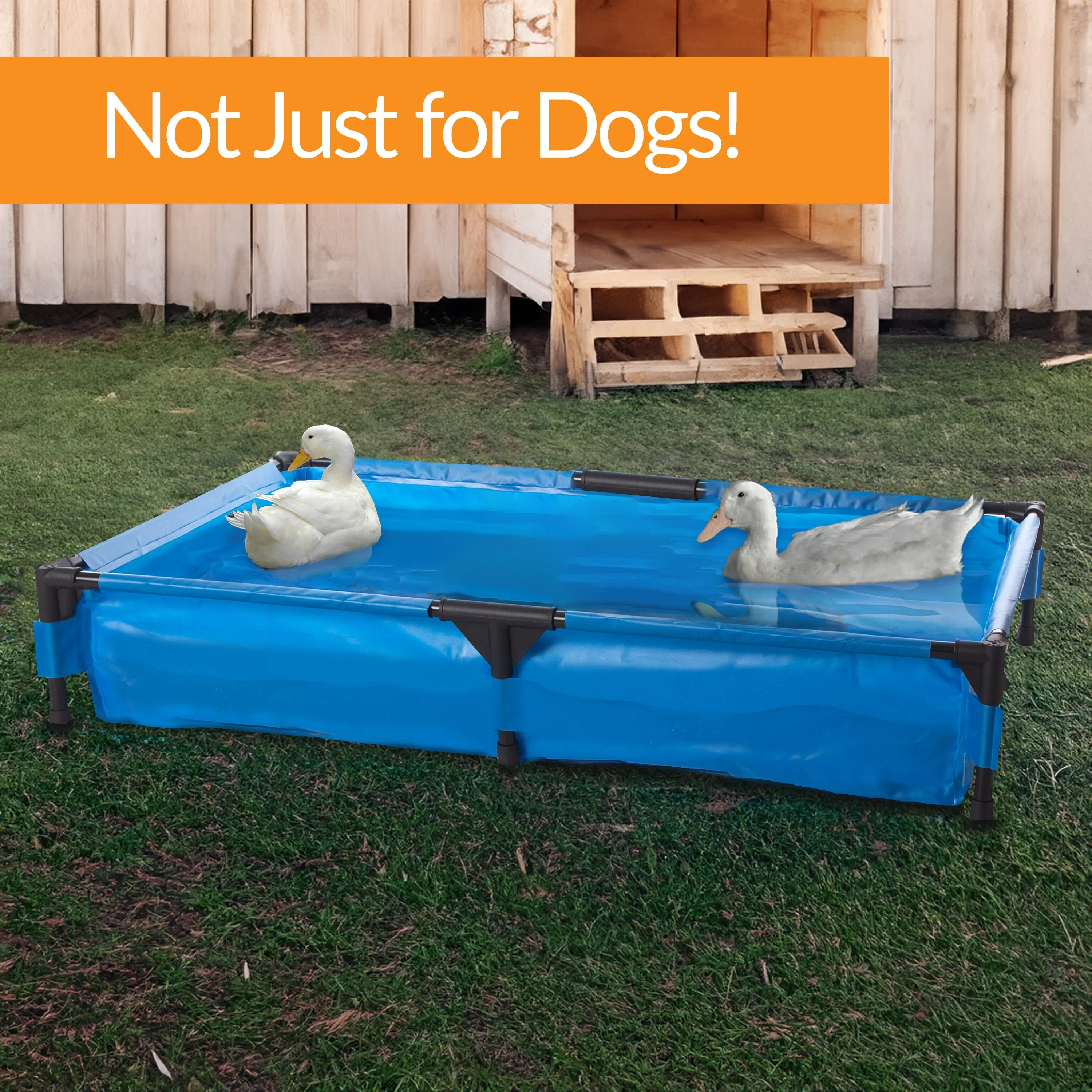 K&H Dog Pool & Pet Bath - Image 5