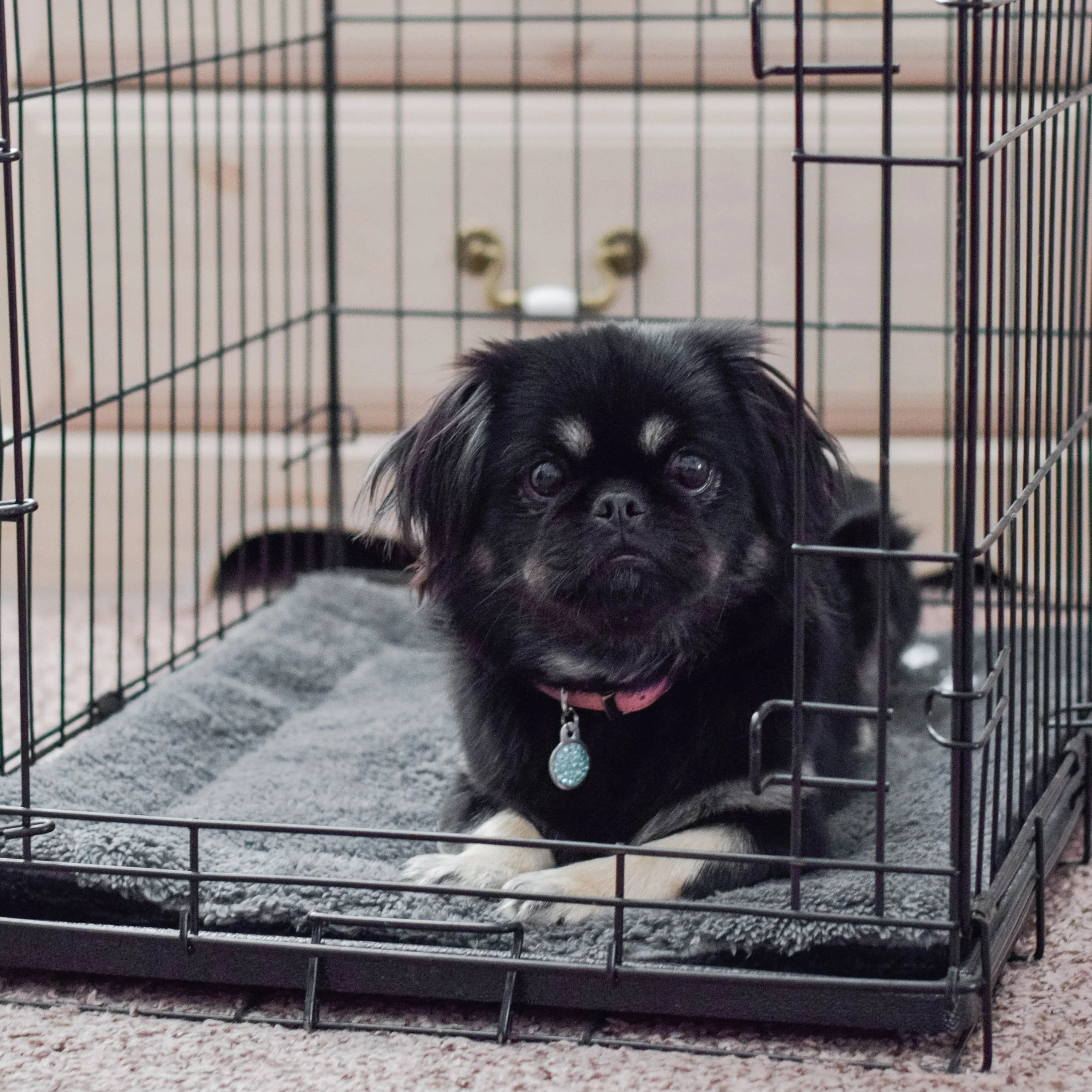 K&H Self-Warming Pet Pad - Image 13