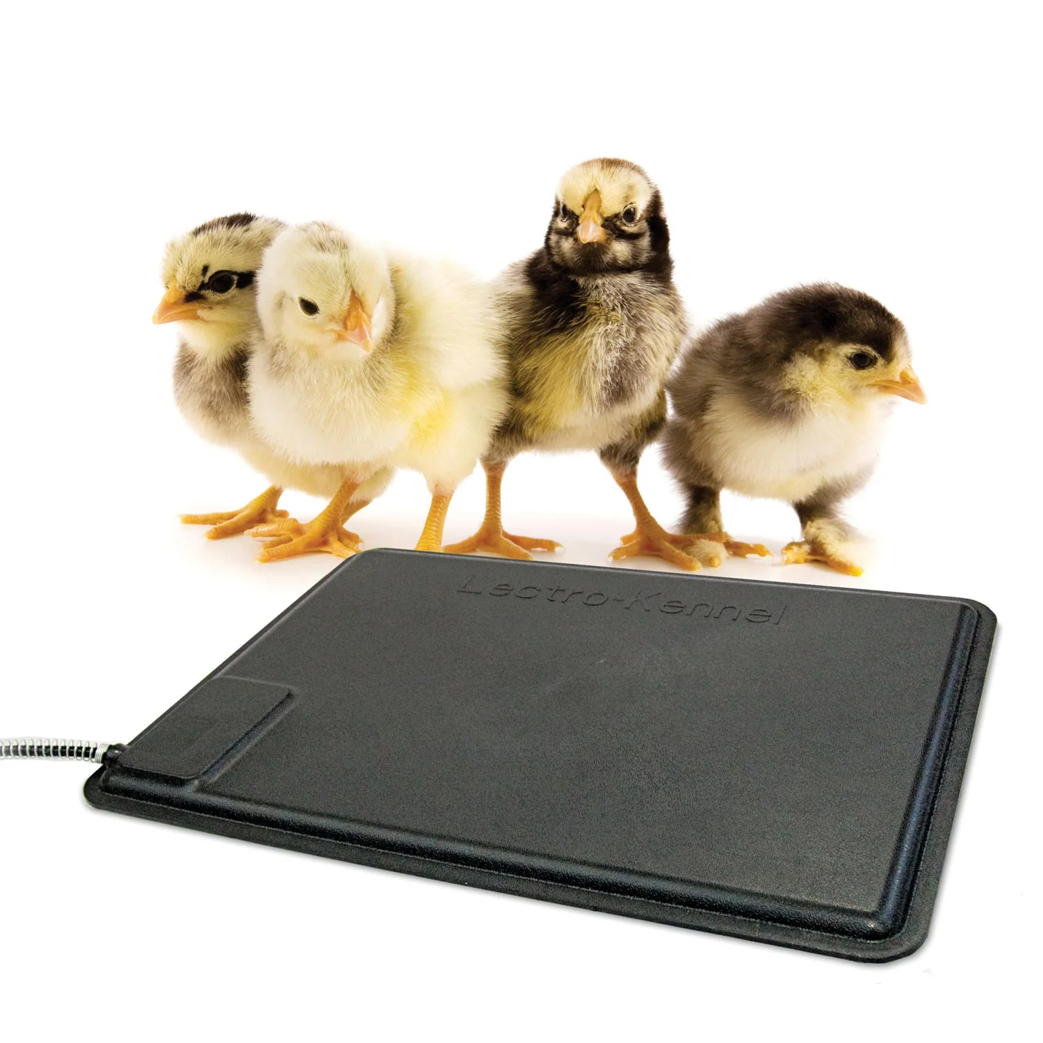 K&H Thermo-Chicken Heated Pad - Image 10