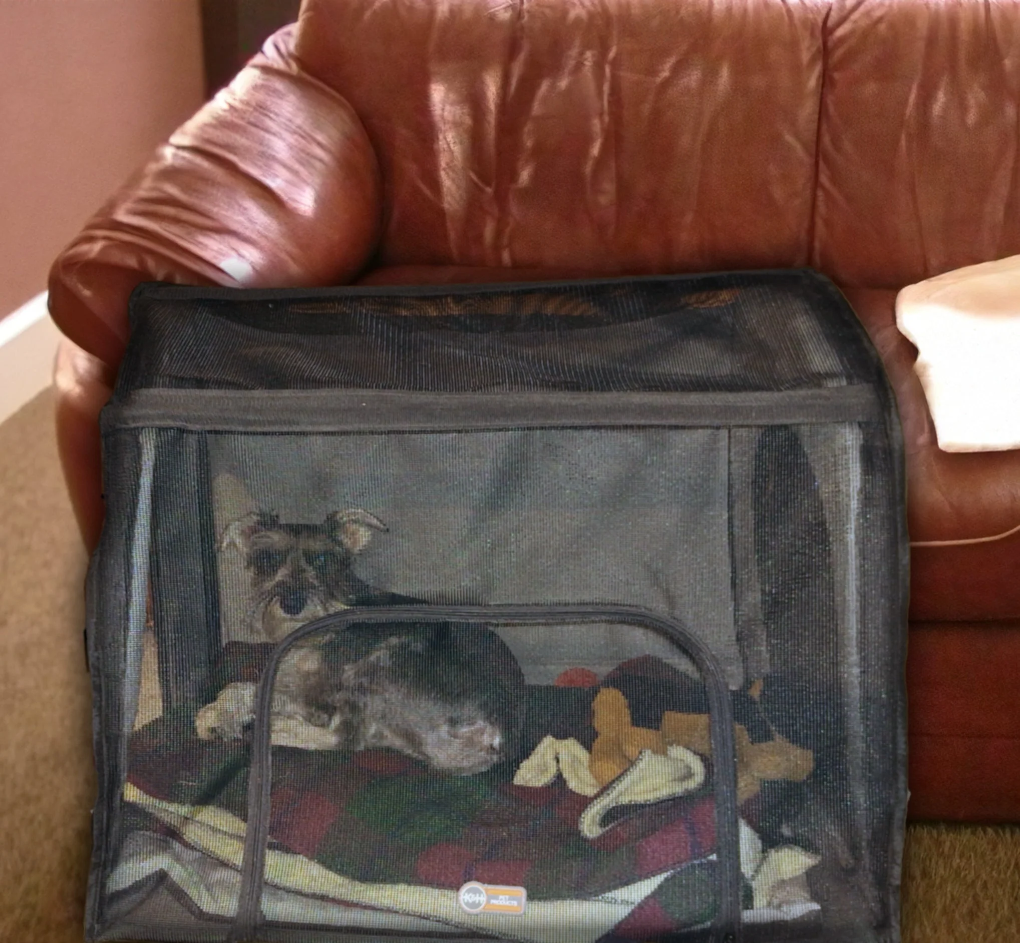 K&H Travel Safety Carrier - Image 15