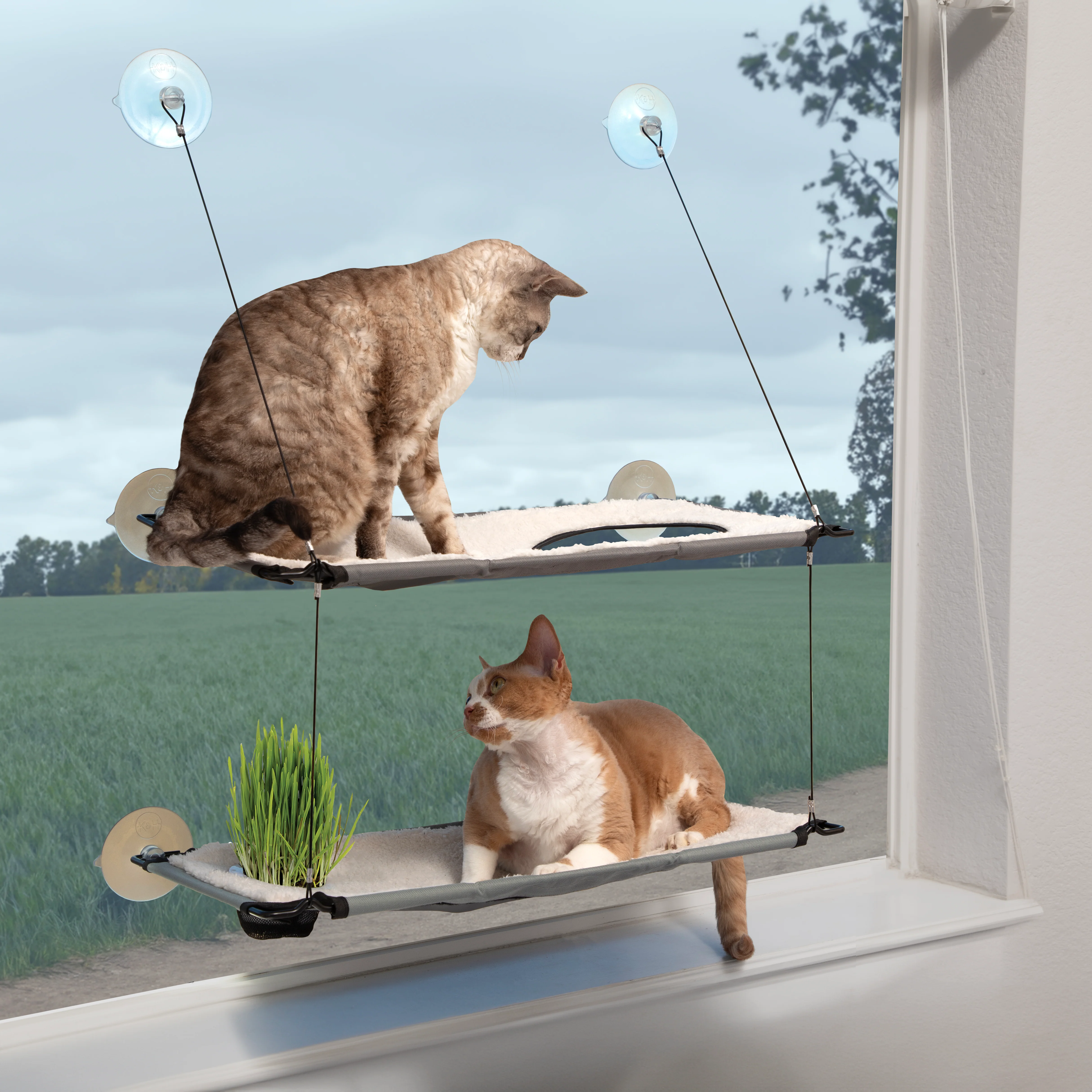 K&H Window Lounger Cat Perch with Cat Grass Grow Station - Image 9