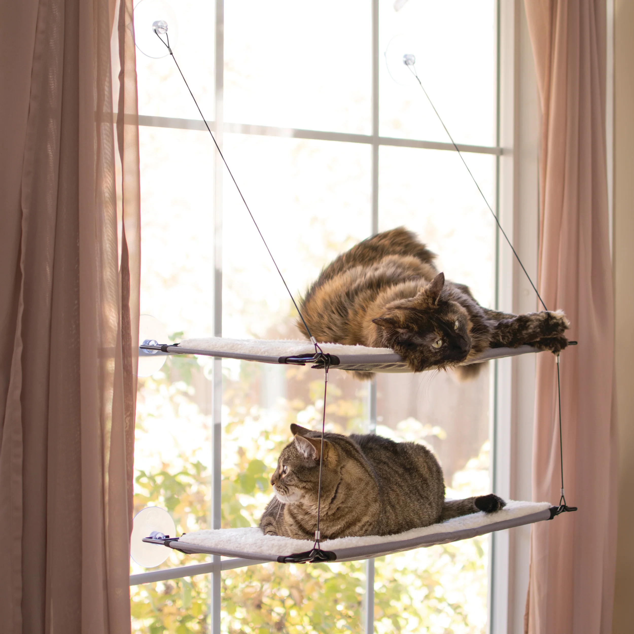 K&H Window Lounger Kitty Sill - Image 8